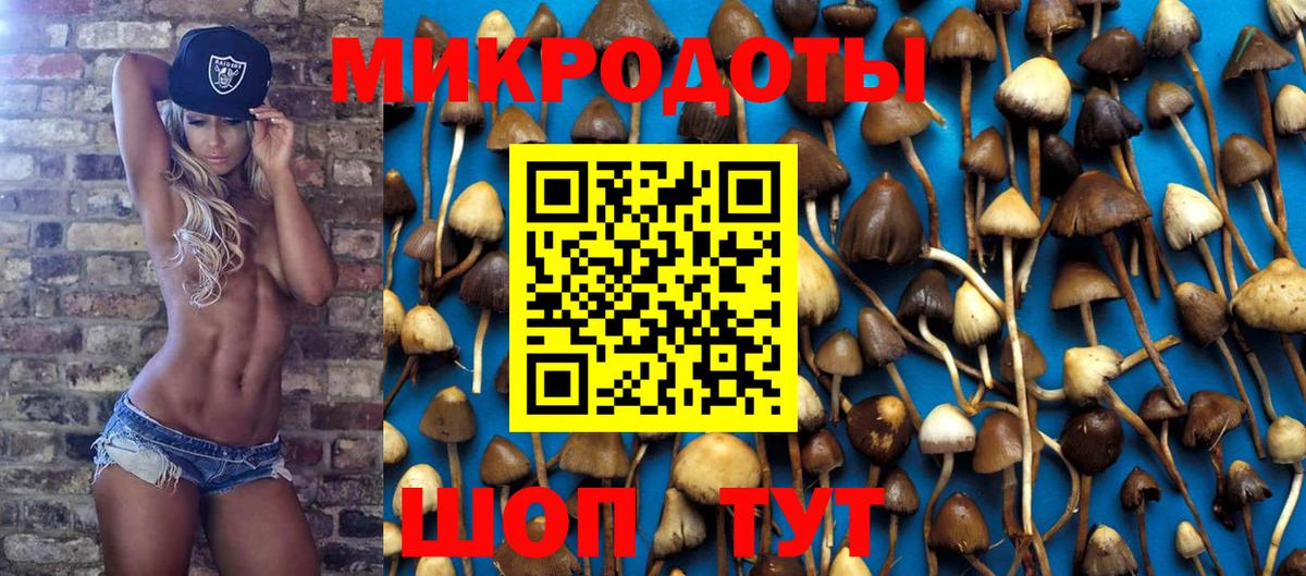 Галлюциногенные грибы Psilocybine cubensis  Галлюциногенные грибы мицелий  Вход с VPN  Ижевск 