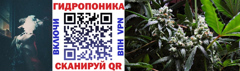 МЕГА tor  Ижевск  МАРИХУАНА планчик 