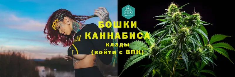 закладки  Ижевск  кракен ССЫЛКА  Канабис Amnesia 